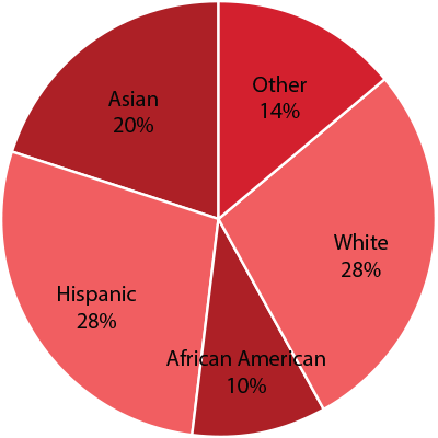uh-chart-ethnicity